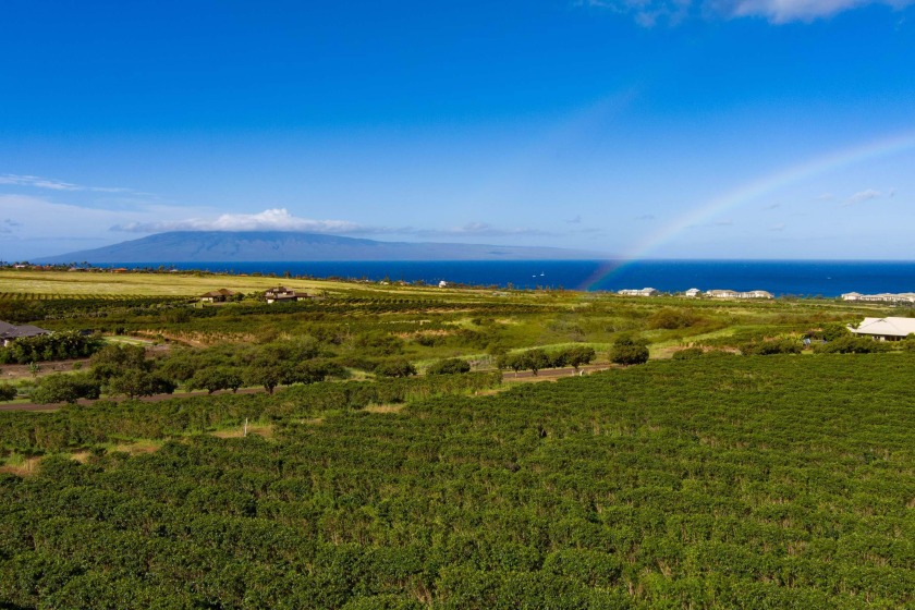 Spectacular views, privacy, room to build the home of your - Beach Acreage for sale in Lahaina, Hawaii on Beachhouse.com