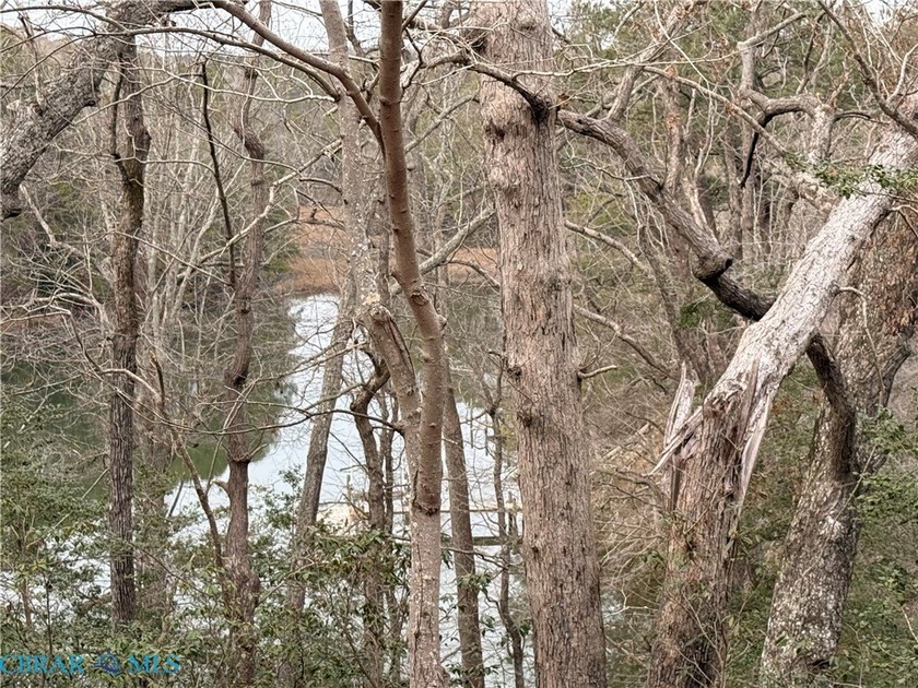Waterfront Land! Just shy of an acre, this property is ideal for - Beach Lot for sale in Lancaster, Virginia on Beachhouse.com