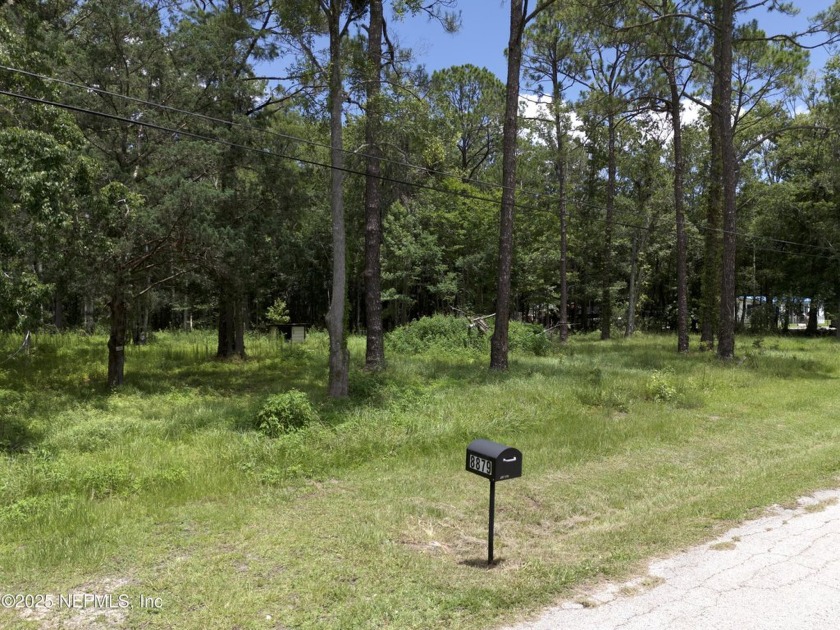 Welcome to 8879 Johnson Ct, a beautiful 2.13-acre parcel located - Beach Acreage for sale in Jacksonville, Florida on Beachhouse.com