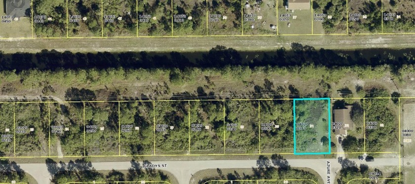 BUILD YOUR CUSTOM HOME ON THIS .2296 CANAL LOT WITH A - Beach Lot for sale in Lehigh Acres, Florida on Beachhouse.com