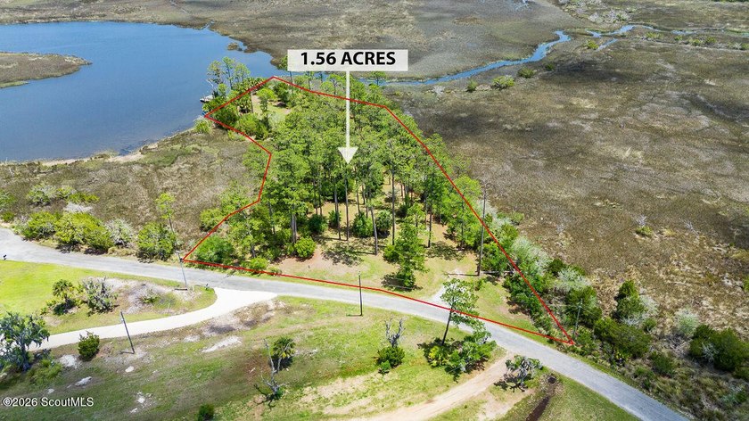 Discover the beauty of coastal Georgia with setting your eyes on - Beach Lot for sale in Townsend, Georgia on Beachhouse.com