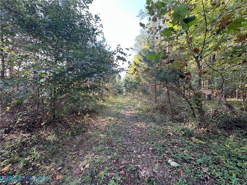 Ready to move to the country and enjoy some peace and quiet? - Beach Acreage for sale in Saluda, Virginia on Beachhouse.com