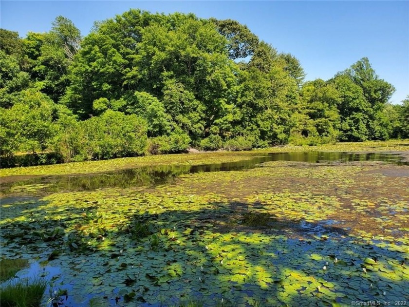 Imagine building your dream home on this picturesque 1.55-acre - Beach Lot for sale in Madison, Connecticut on Beachhouse.com