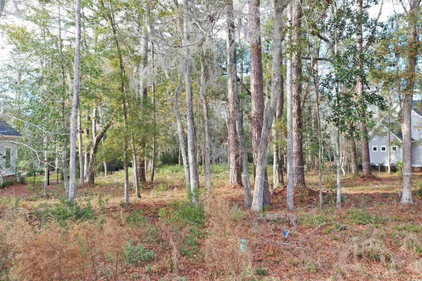 Build your dream home on this stunning homesite located in the - Beach Lot for sale in Pawleys Island, South Carolina on Beachhouse.com