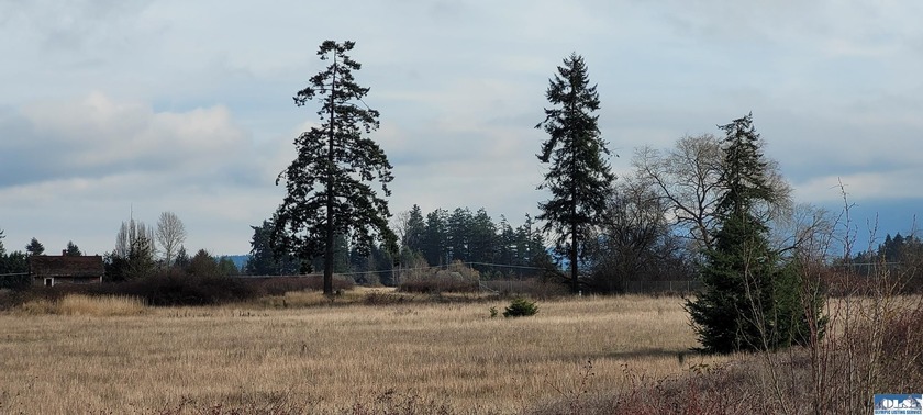 5.97 acres located on the east side of city limits. 4 separate - Beach Acreage for sale in Sequim, Washington on Beachhouse.com