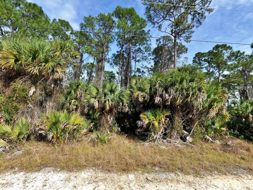 Discover the perfect canvas for your dream home on this - Beach Lot for sale in North Port, Florida on Beachhouse.com