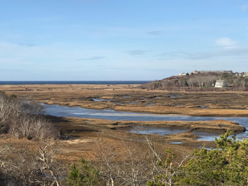 This Pamet River front parcel has ALL the views. Estate sized, 2 - Beach Acreage for sale in Truro, Massachusetts on Beachhouse.com
