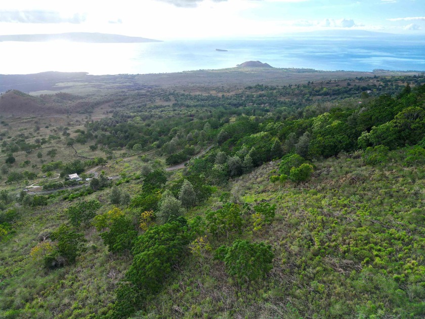 Discover tranquility in this breathtaking Ulupalakua property - Beach Acreage for sale in Kula, Hawaii on Beachhouse.com