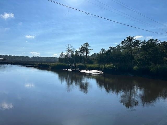 PRIVATE DEEP WATER PROPERTY, SOUTH NEWPORT RIVER, PRE-APPROVED - Beach Acreage for sale in , Georgia on Beachhouse.com