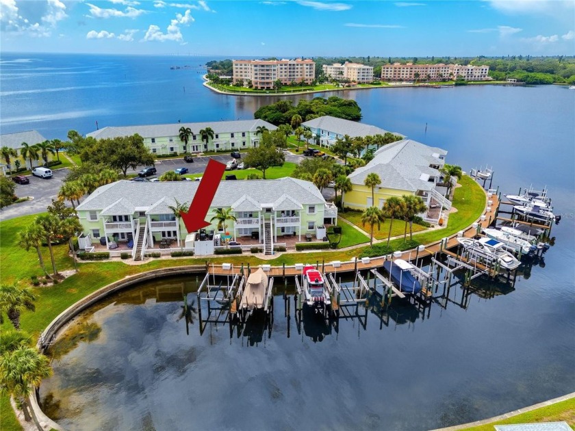 ***STAYED DRY AND NO DAMAGE DURING HURRICANE HELENE AND - Beach Condo for sale in St. Petersburg, Florida on Beachhouse.com