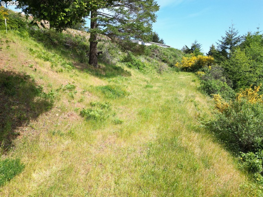 Stunning views of the Pacific Ocean and the charming coastal - Beach Lot for sale in Brookings, Oregon on Beachhouse.com