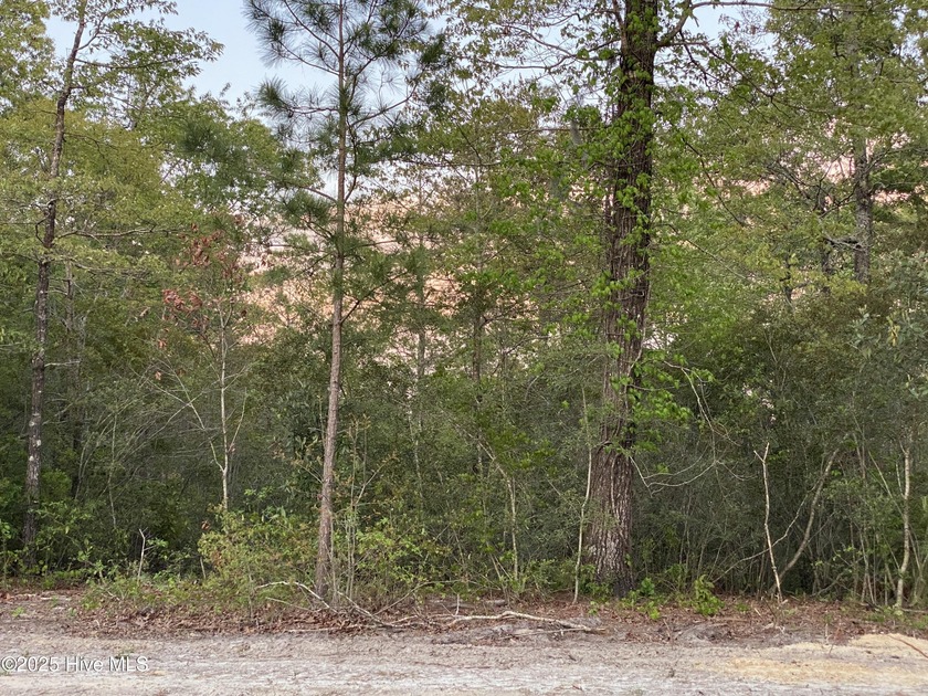 Now Available: 34 Stunning Residential Lots in Hickory Run at - Beach Lot for sale in New Bern, North Carolina on Beachhouse.com