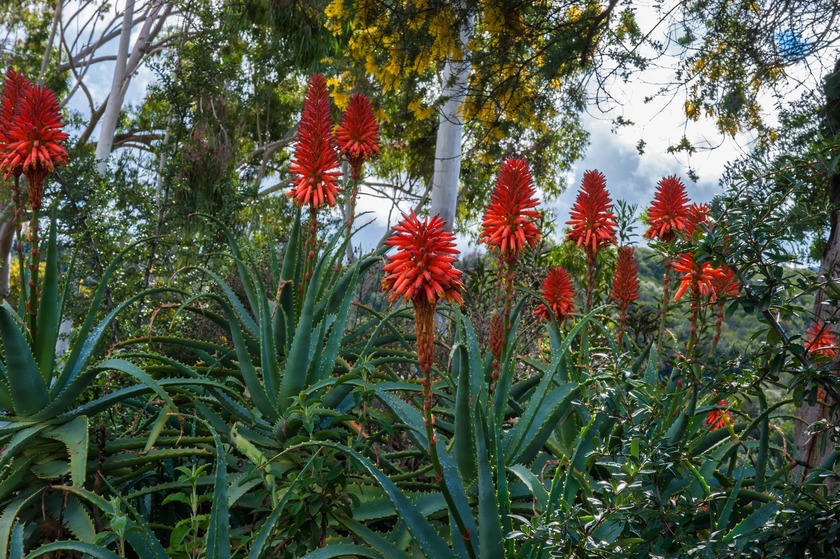 Open Concept Floor Plan, First Floor Den, Gourmet Kitchen with - Beach Home for sale in Ventura, California on Beachhouse.com