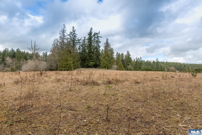Discover 6.65 acres of opportunity near Sequim with mountain - Beach Acreage for sale in Sequim, Washington on Beachhouse.com