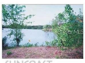 Gated WATERFRONT LOT in the Holiday! This 8.75 acre lot sits on - Beach Acreage for sale in Holiday, Florida on Beachhouse.com