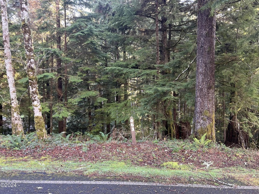 This large .35 acre property is located in the desirable gated - Beach Lot for sale in Gleneden Beach, Oregon on Beachhouse.com
