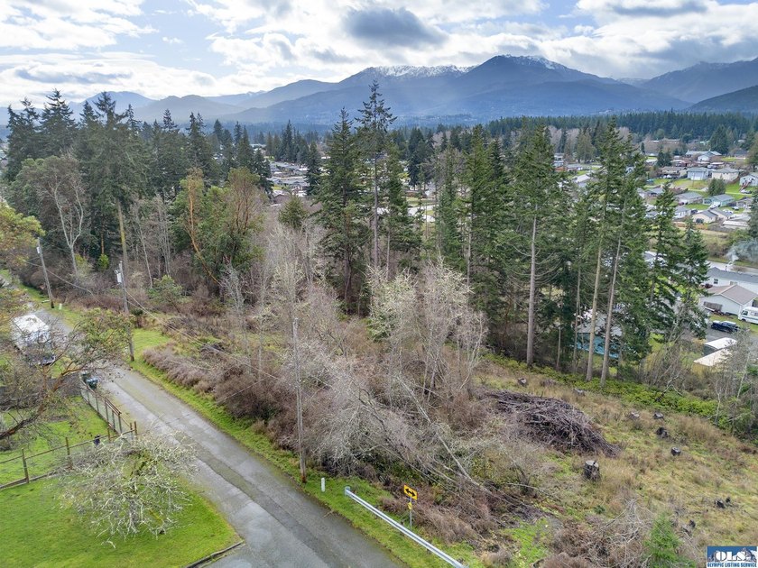 Calling all Builders!!! 10 City Lots w/ Mountain Views ready for - Beach Lot for sale in Port Angeles, Washington on Beachhouse.com