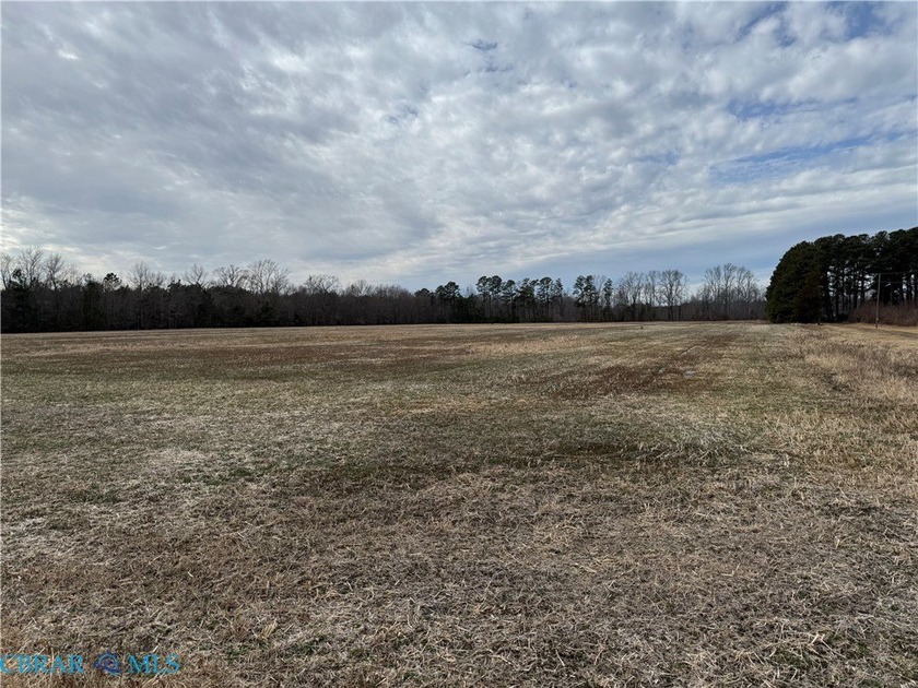 What a buy! 20.89 Acres of crop farmland up for sale. Located on - Beach Acreage for sale in Hague, Virginia on Beachhouse.com