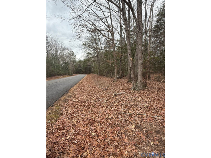 Calling all builders and developers! Prime 32+ acre tract - Beach Acreage for sale in Locust Hill, Virginia on Beachhouse.com
