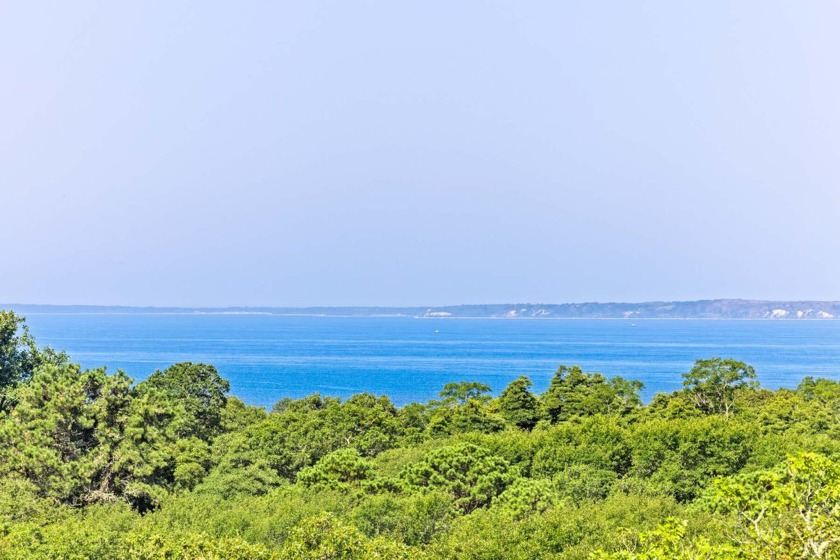 Lamberts Cove Beach access, first and second floor water views - Beach Home for sale in West Tisbury, Massachusetts on Beachhouse.com