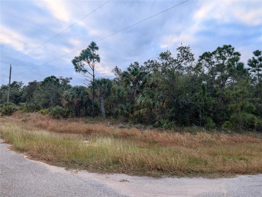 Looking for the perfect place to build your dream home? This - Beach Lot for sale in North Port, Florida on Beachhouse.com