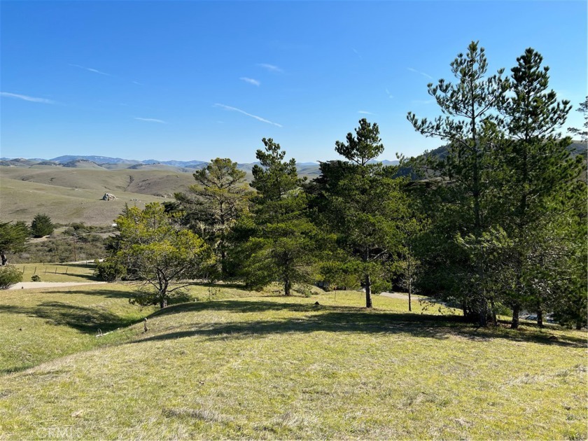 +- 1/2 acre on Linden Ct. #170 on CCSD water wait list - Beach Lot for sale in Cambria, California on Beachhouse.com