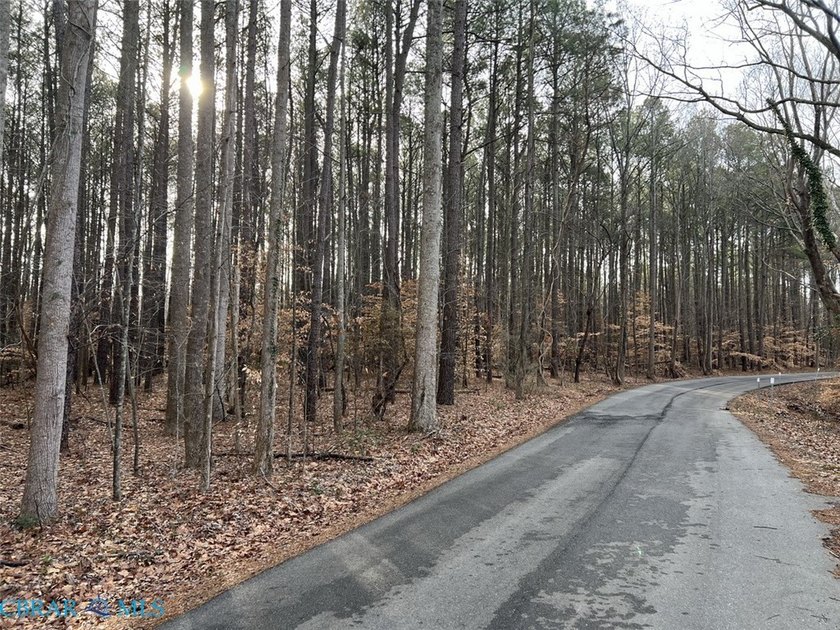 13.5 wooded acres in Locust Hill with state road frontage - Beach Acreage for sale in Locust Hill, Virginia on Beachhouse.com