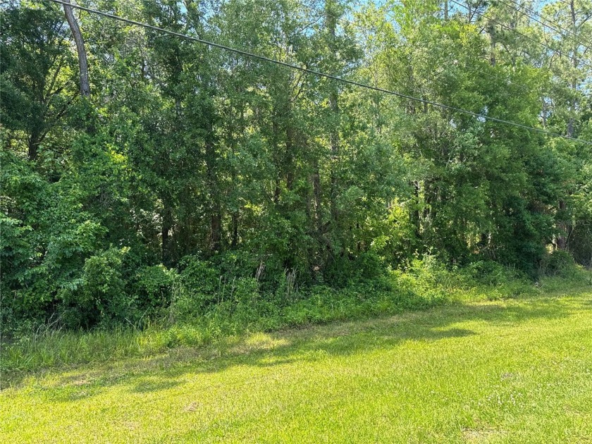 Country lot ready for your dream home. This lot is on a paved - Beach Lot for sale in Bunnell, Florida on Beachhouse.com