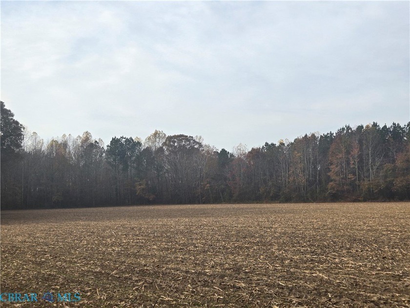 Almost 22 acres, this parcel offers many possibilities, this - Beach Acreage for sale in Heathsville, Virginia on Beachhouse.com