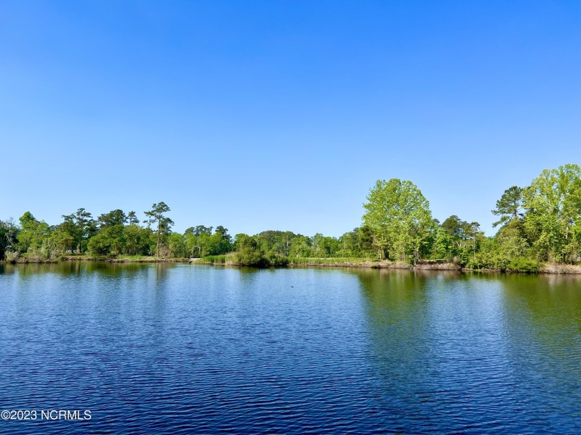 Come discover this high elevation, waterfront building lot in a - Beach Lot for sale in New Bern, North Carolina on Beachhouse.com