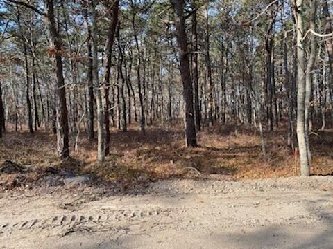 Lovely wooded house lot for sale in Yarmouthport close to 6A at - Beach Lot for sale in Yarmouth Port, Massachusetts on Beachhouse.com