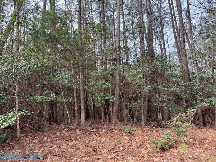 Two wooded lots being sold together in the waterfront community - Beach Lot for sale in Lancaster, Virginia on Beachhouse.com