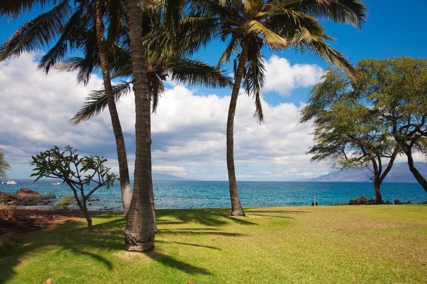 Super Rare! One of the last oceanfront vacant lots in Makena - Beach Lot for sale in Kihei, Hawaii on Beachhouse.com
