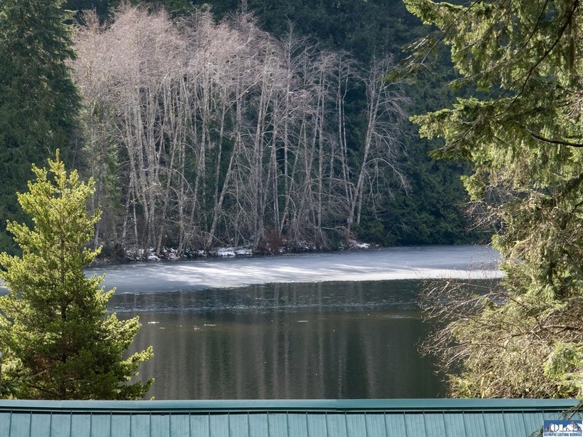 Escape to this rare 0.30-acre gem overlooking Lake Dawn. This - Beach Lot for sale in Port Angeles, Washington on Beachhouse.com