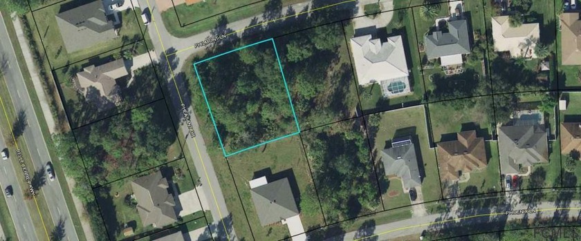 NOW IS THE TIME TO PURCHASE THIS CORNER LOT AND BUILD YOUR DREAM - Beach Lot for sale in Palm Coast, Florida on Beachhouse.com