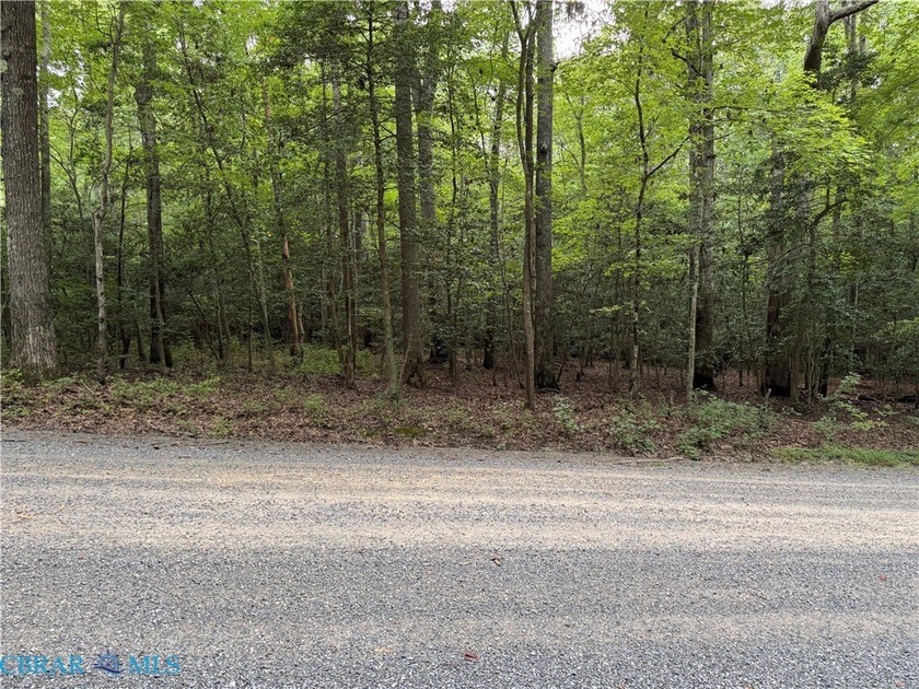 A 2.1 Acre wooded lot is now available for you to bring your - Beach Acreage for sale in Lancaster, Virginia on Beachhouse.com