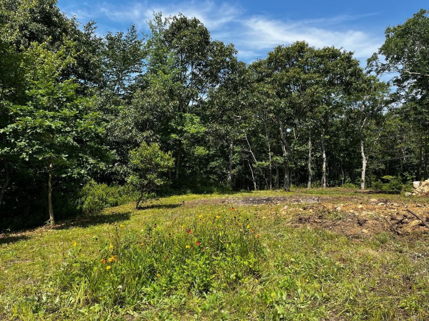 This lovely 1.60 acre wooded parcel is located in an outstanding - Beach Lot for sale in West Tisbury, Massachusetts on Beachhouse.com
