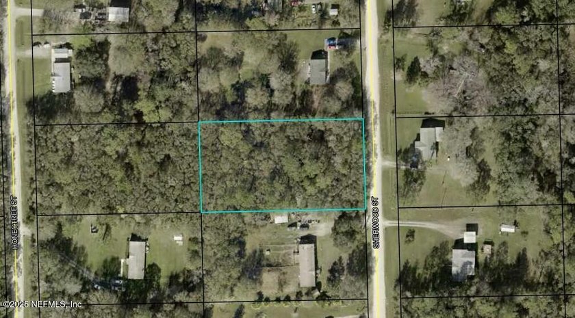 Ready to carve out your own hidden sanctuary? 1166 Sherwood St - Beach Lot for sale in Bunnell, Florida on Beachhouse.com