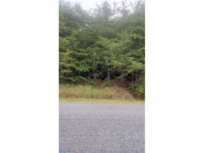Deltaville - waterfront site on Bush Creek of 1.25 wooded acres - Beach Lot for sale in Deltaville, Virginia on Beachhouse.com