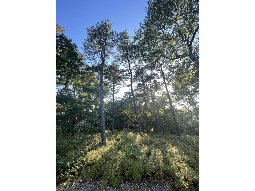 Tucked away on a quiet private road on the ocean side of - Beach Lot for sale in Wellfleet, Massachusetts on Beachhouse.com