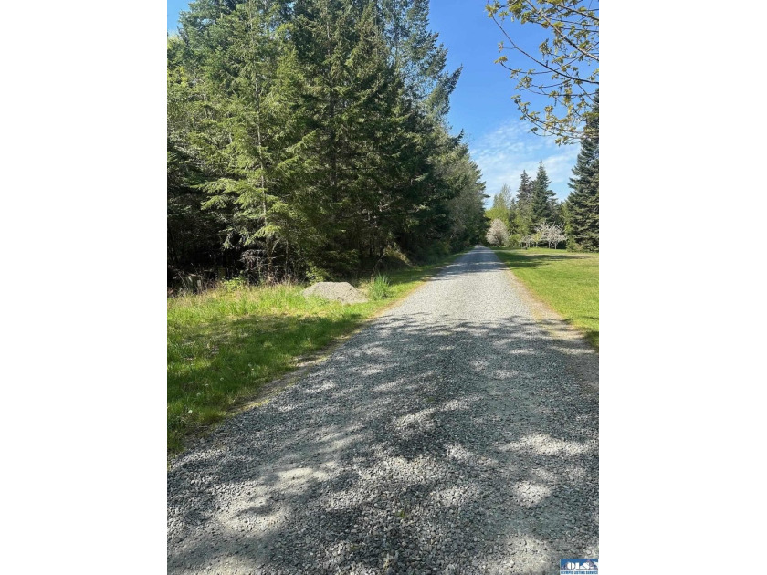 Enjoy the quiet tranquility of Pristine Lane! This wooded lot is - Beach Acreage for sale in Port Angeles, Washington on Beachhouse.com