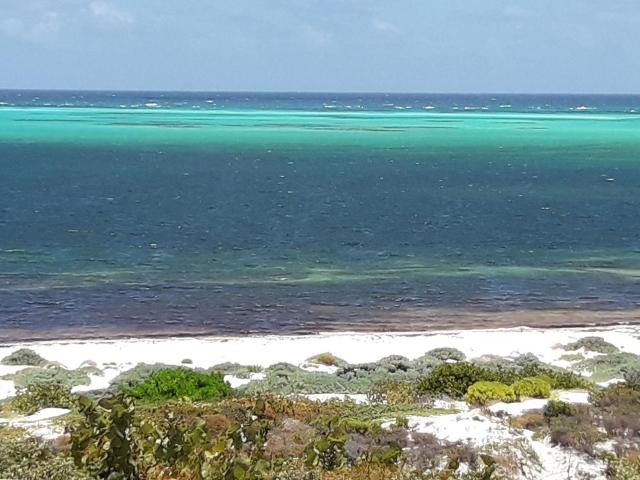 Beach Front with Panoramic Views. You will see forever across - Beach Lot for sale in ,  on Beachhouse.com