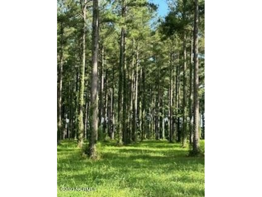 Central to Dawson Creek Subdivision's allure is its commitment - Beach Lot for sale in Oriental, North Carolina on Beachhouse.com