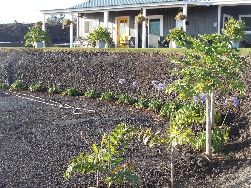 Pack your shorts, t-shirt, swimsuit and flip flops. That will be - Beach Home for sale in Captain Cook, Hawaii on Beachhouse.com