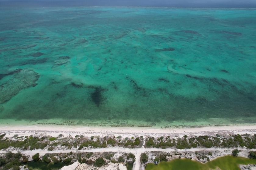 5 ACRE COMMERCIAL BEACH FRONT LOT!!! This gorgeous 5 acre tract - Beach Acreage for sale in Providenciales,  on Beachhouse.com