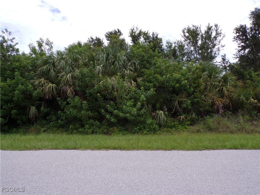 This lot is on a quiet street that would be a great place to - Beach Lot for sale in Port Charlotte, Florida on Beachhouse.com