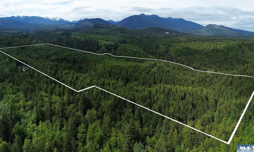 82+ Acre Timber Parcel - Unrivaled Privacy, Creekside Beauty & - Beach Acreage for sale in Port Angeles, Washington on Beachhouse.com