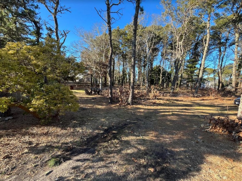 Welcome to your dream canvas in the heart of Chatham! 
Just a - Beach Lot for sale in Chatham, Massachusetts on Beachhouse.com
