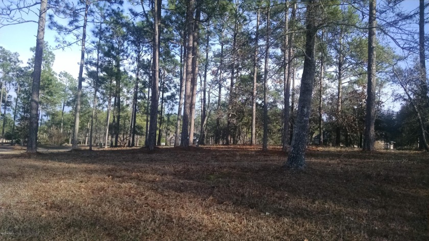 Huge .43/acre home site on one of the more desirable streets in - Beach Lot for sale in Ocean Isle Beach, North Carolina on Beachhouse.com