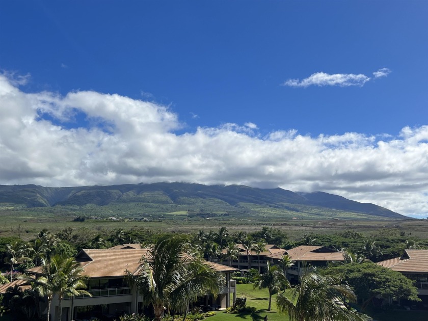Tis the season to be shopping and investing in West Maui's top - Beach Condo for sale in Lahaina, Hawaii on Beachhouse.com